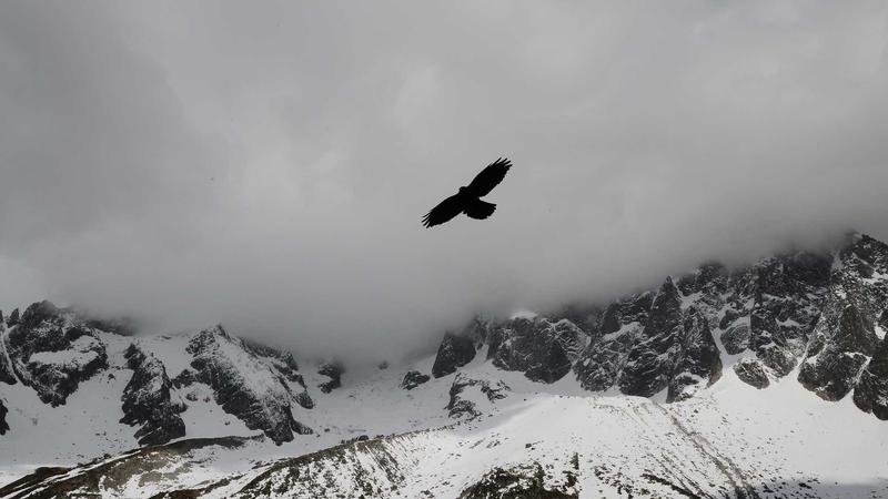 Türk Yapımı Bilim Kurgu ve Fantezi Dizileri: Yerli Yapımlar Dünya Kalitesine Ulaşabilir mi?